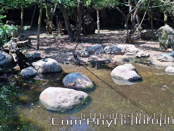 Bioparc de Doué la fontaine