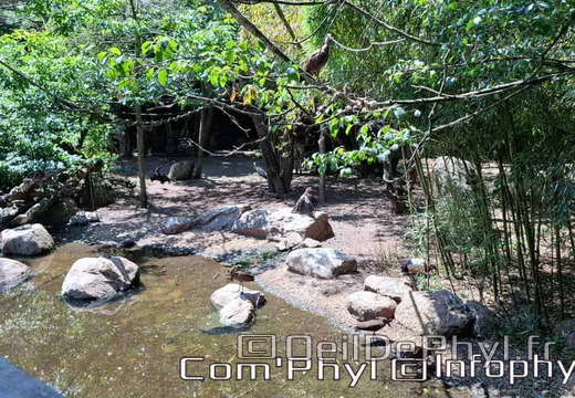 Bioparc de Doué la fontaine