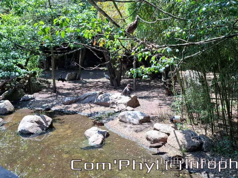 Bioparc de Doué la fontaine