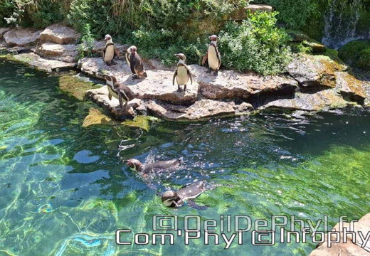 Bioparc de Doué la fontaine