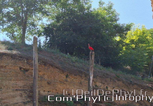 Bioparc de Doué la fontaine