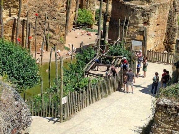 Bioparc de Doué la fontaine