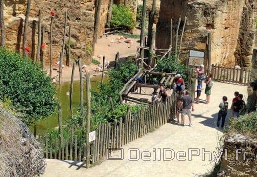 Bioparc de Doué la fontaine