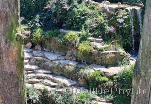 Bioparc de Doué la fontaine