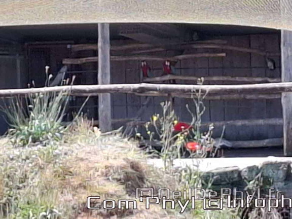 Bioparc de Doué la fontaine