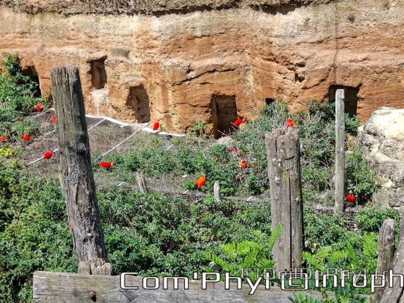 Bioparc de Doué la fontaine