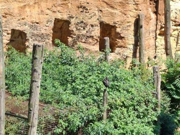 Bioparc de Doué la fontaine
