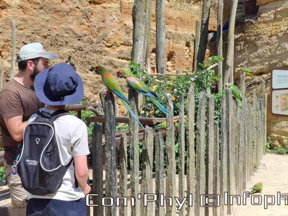 Bioparc de Doué la fontaine