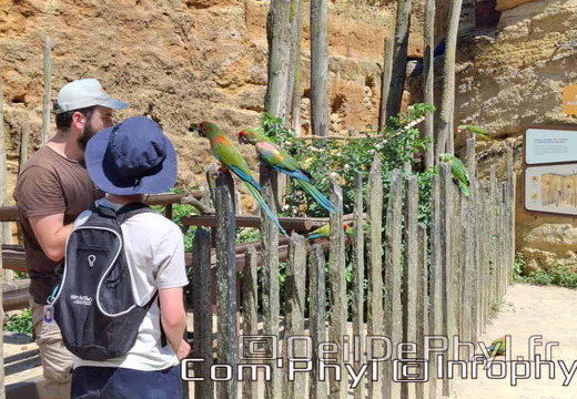 Bioparc de Doué la fontaine