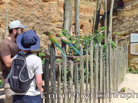 Bioparc de Doué la fontaine