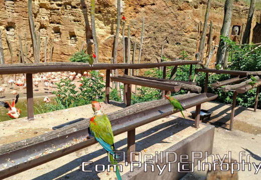 Bioparc de Doué la fontaine