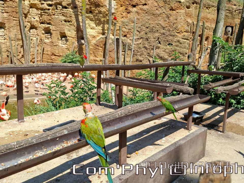 Bioparc de Doué la fontaine