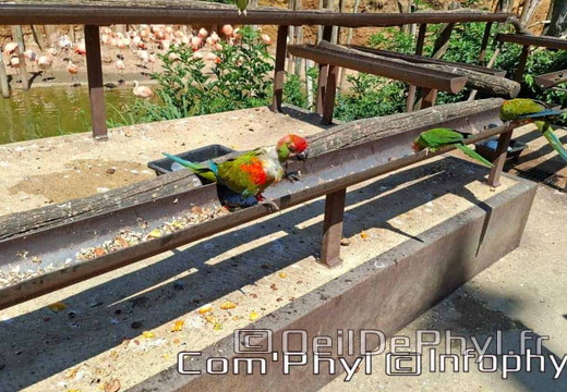 Bioparc de Doué la fontaine