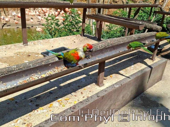 Bioparc de Doué la fontaine
