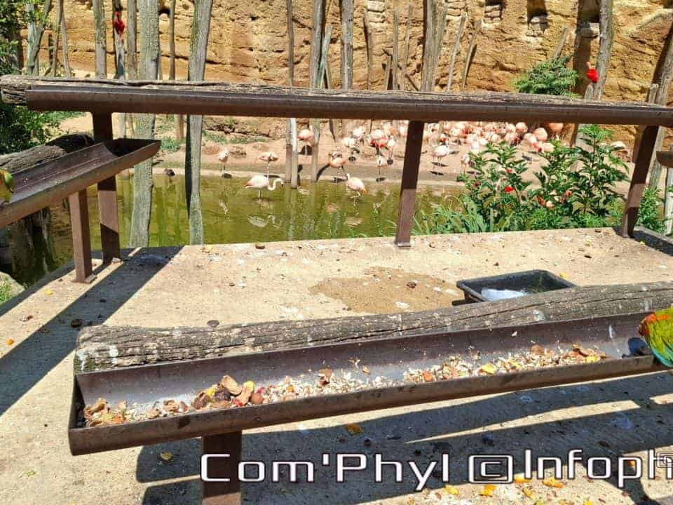 Bioparc de Doué la fontaine