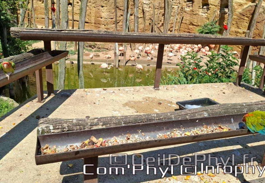 Bioparc de Doué la fontaine