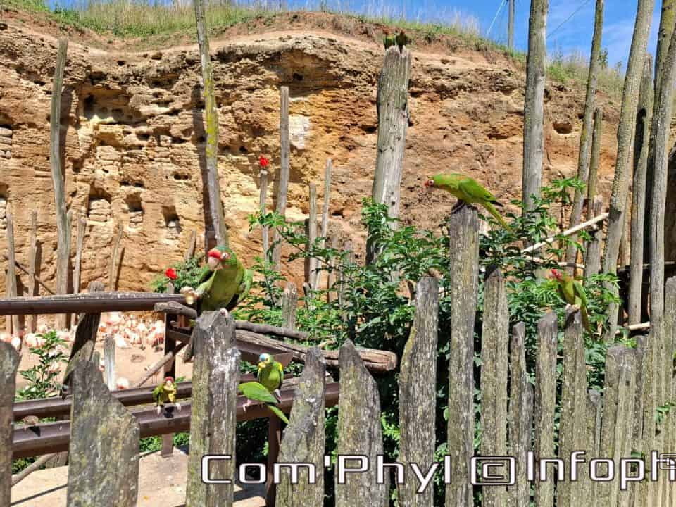 Bioparc de Doué la fontaine