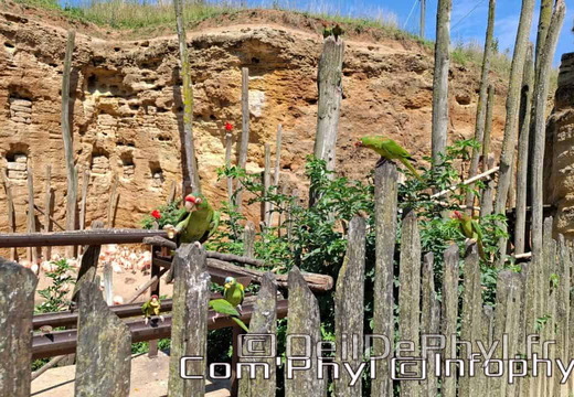 Bioparc de Doué la fontaine