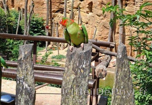 Bioparc de Doué la fontaine
