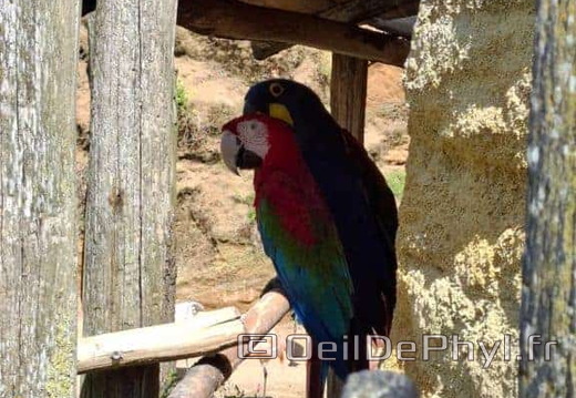 Bioparc de Doué la fontaine