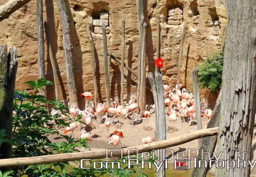 Bioparc de Doué la fontaine