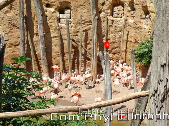 Bioparc de Doué la fontaine