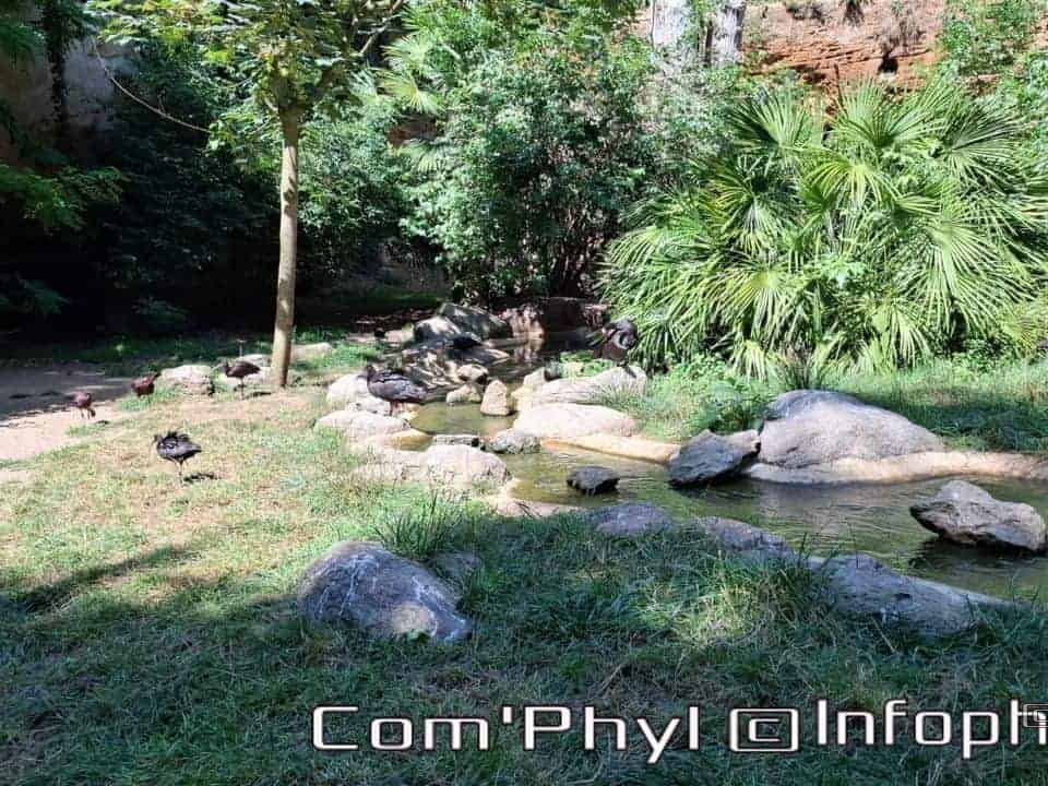 Bioparc de Doué la fontaine