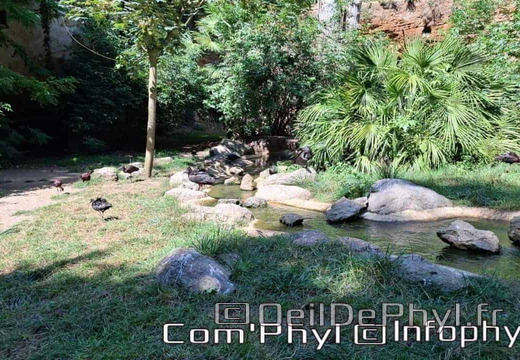 Bioparc de Doué la fontaine