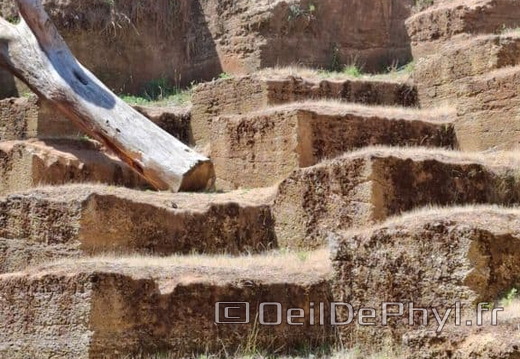 Bioparc de Doué la fontaine