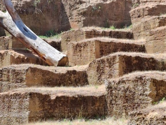 Bioparc de Doué la fontaine