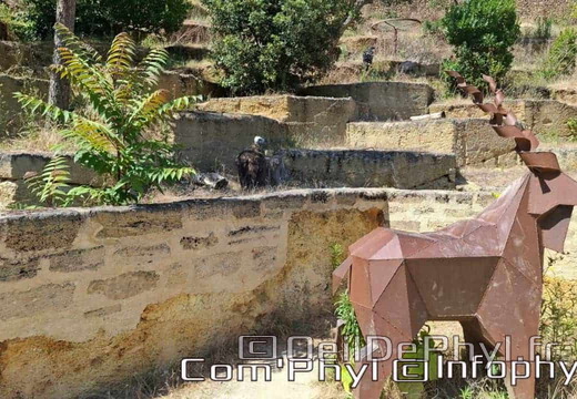 Bioparc de Doué la fontaine