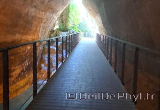 Bioparc de Doué la fontaine