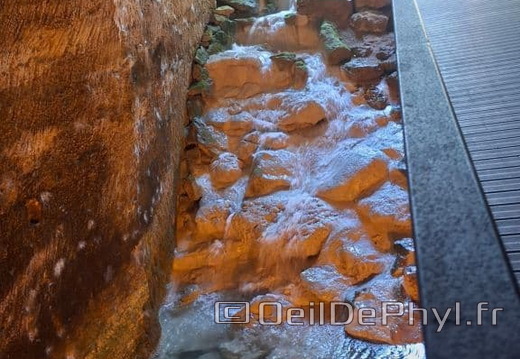 Bioparc de Doué la fontaine