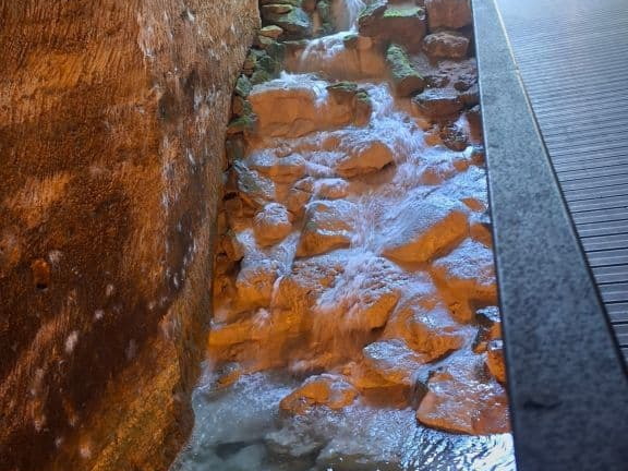 Bioparc de Doué la fontaine