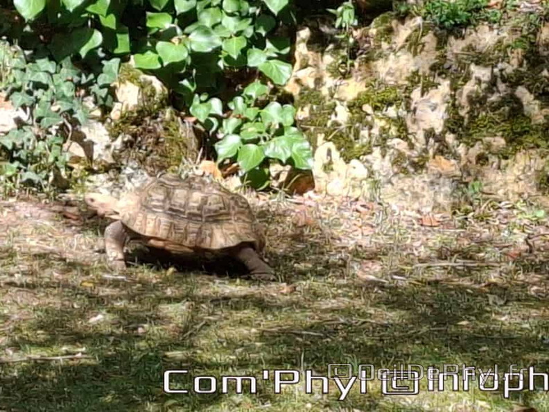 Bioparc de Doué la fontaine