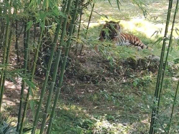 Bioparc de Doué la fontaine
