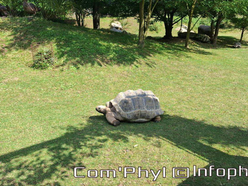 Bioparc de Doué la fontaine