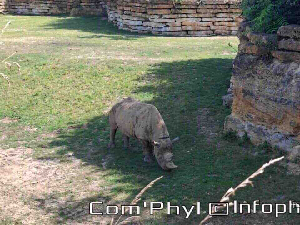 Bioparc de Doué la fontaine