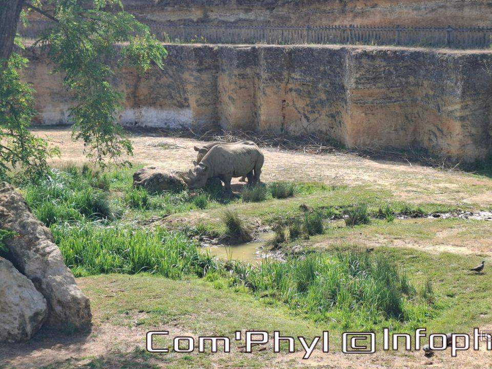Bioparc de Doué la fontaine