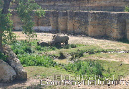 Bioparc de Doué la fontaine