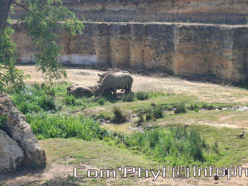 Bioparc de Doué la fontaine
