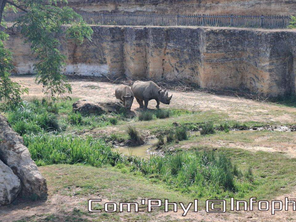 Bioparc de Doué la fontaine