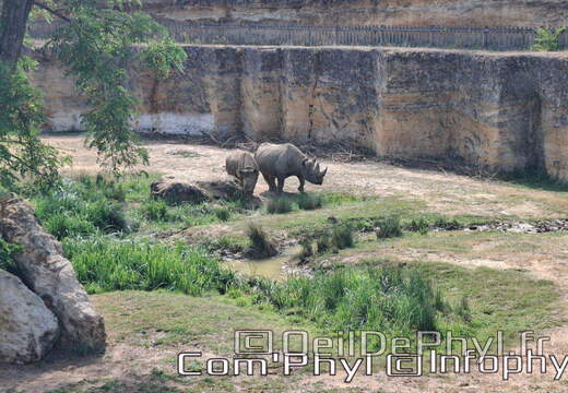 Bioparc de Doué la fontaine