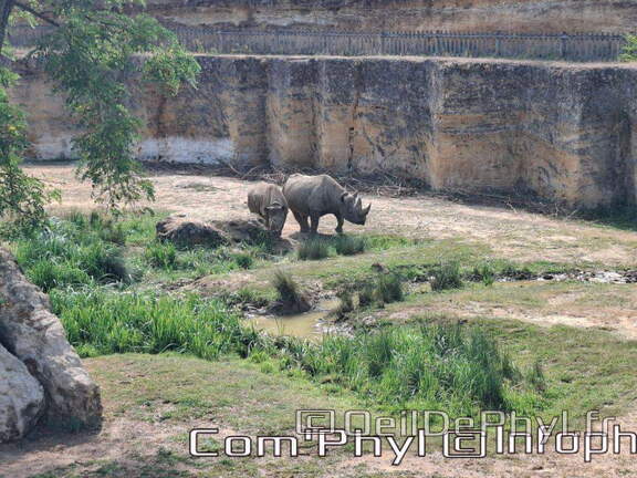 Bioparc de Doué la fontaine