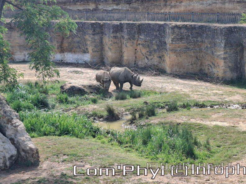 Bioparc de Doué la fontaine