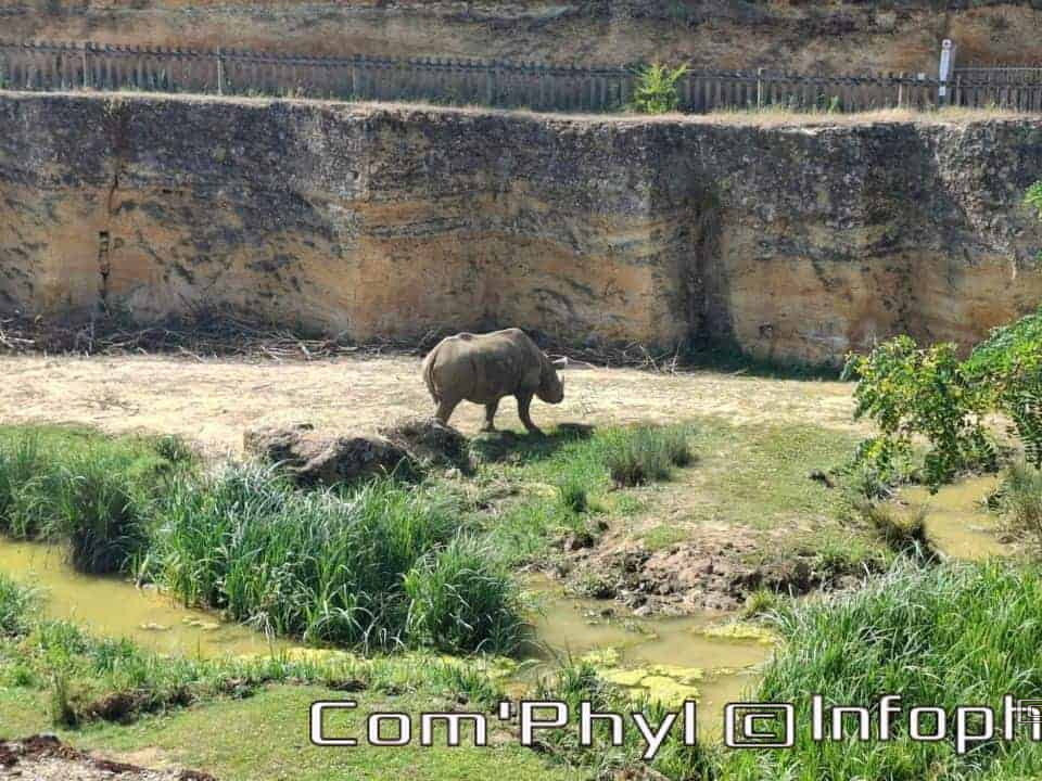 Bioparc de Doué la fontaine