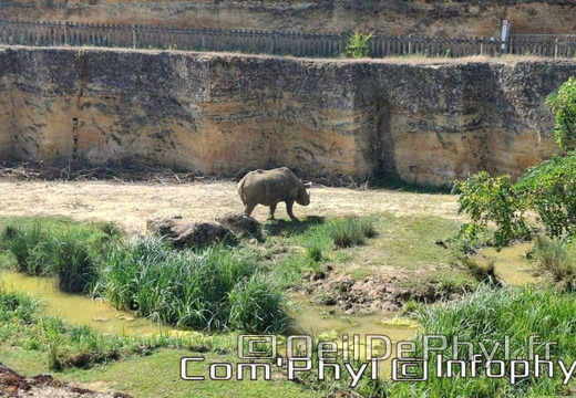 Bioparc de Doué la fontaine