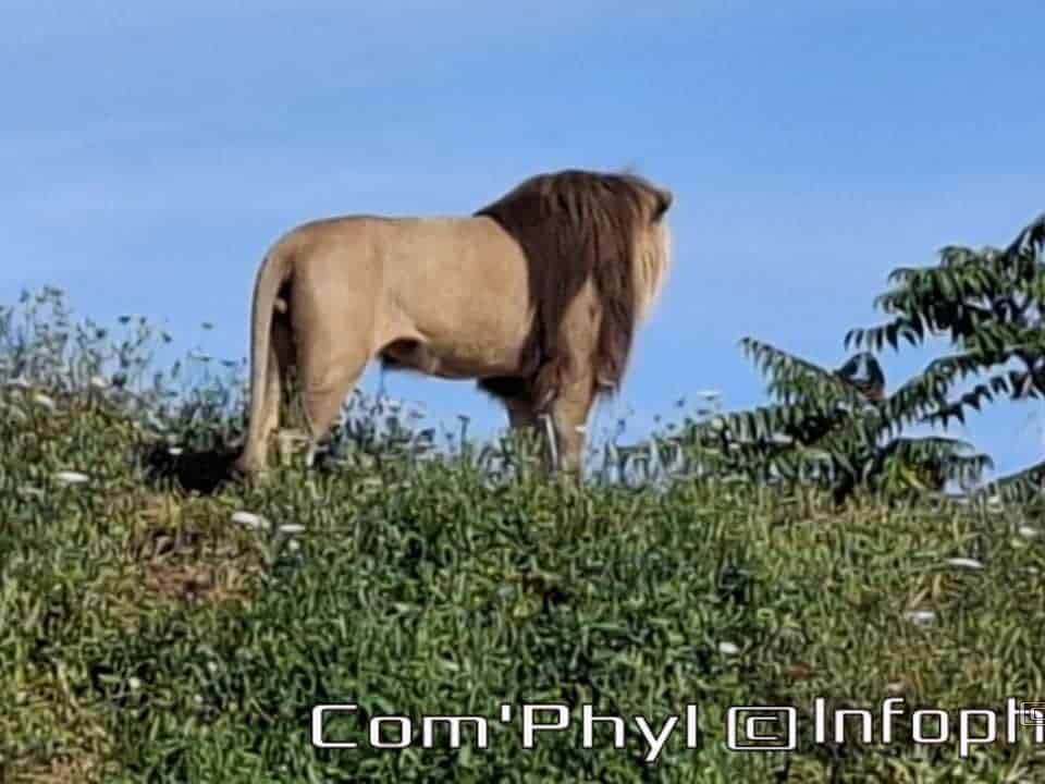 Bioparc de Doué la fontaine