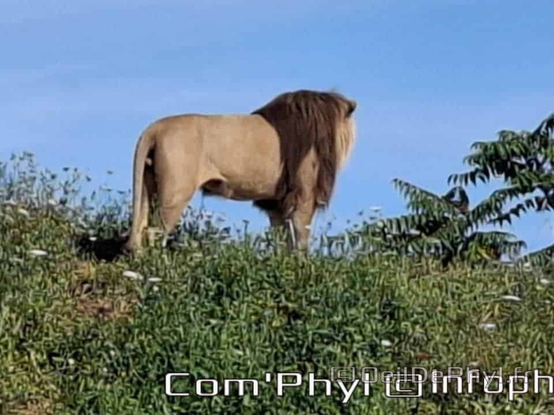 Bioparc de Doué la fontaine