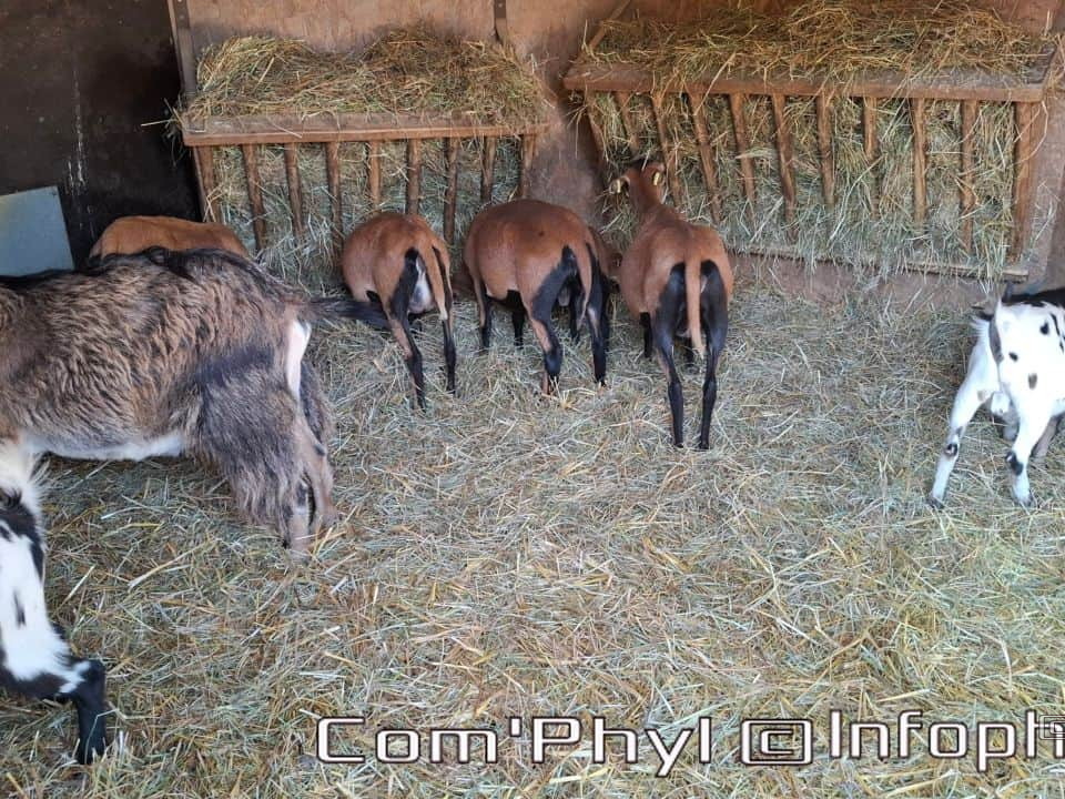 Bioparc de Doué la fontaine
